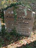 image of grave number 189846